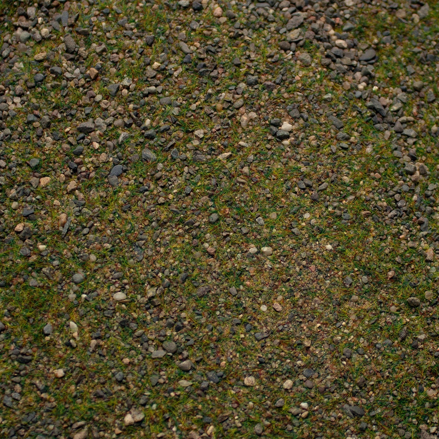 Base Ready Patchy Plains (Small Scale)