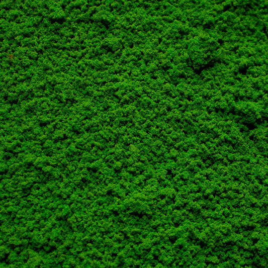 Coarse Flock - Woodland Fern Light Green