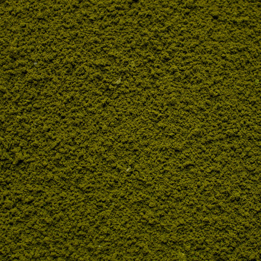 Coarse Flock - Forest Lake