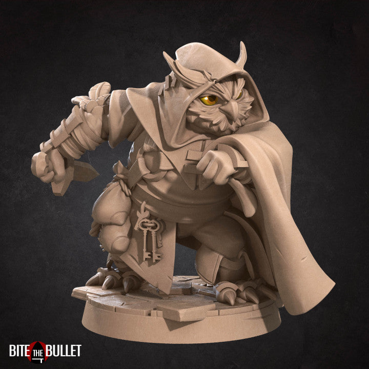 Rogue | Owlfolk | Fantasy Miniature | Bite the Bullet