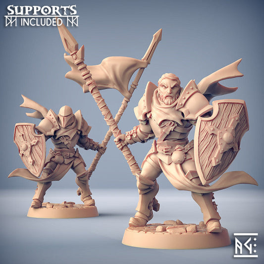Fighter A | Human Fighters Guild | Fantasy D&D Miniature | Artisan Guild
