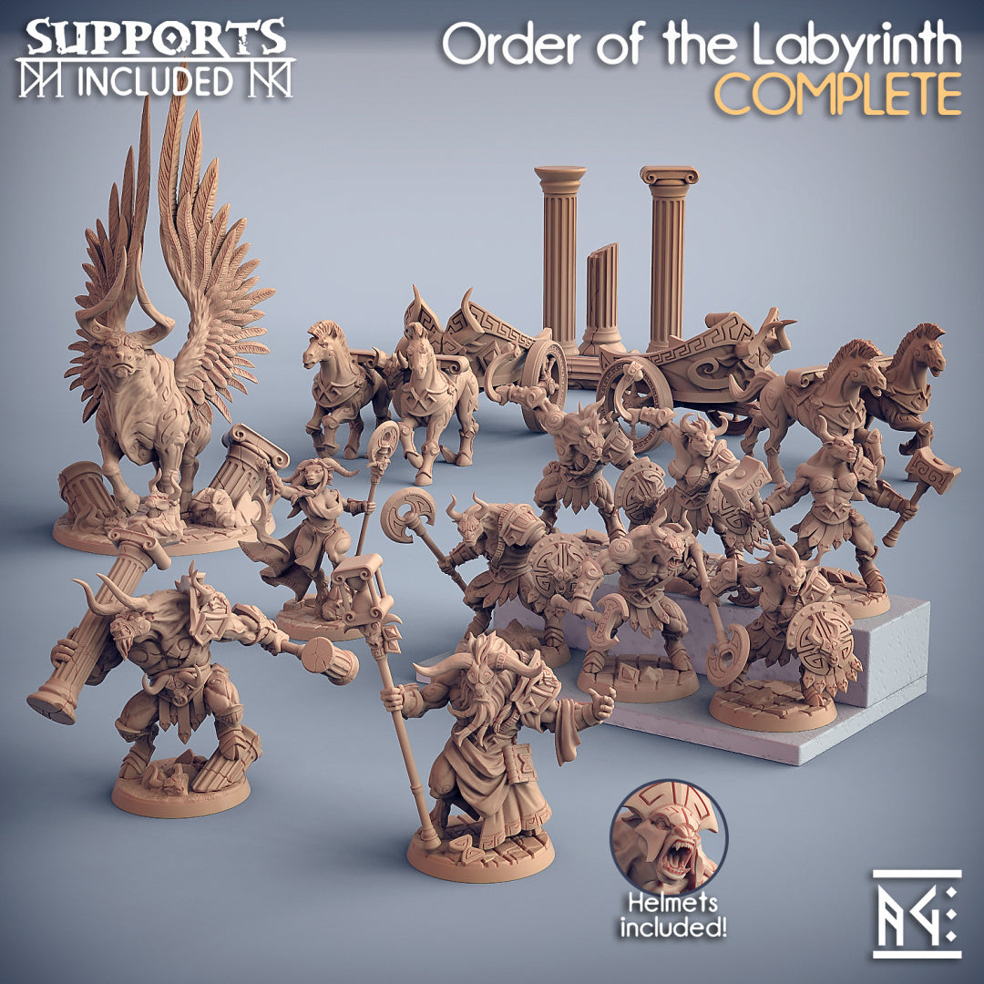 Order of the Labyrinth Miniatures (Full Set) | Fantasy D&D Miniature | Artisan Guild