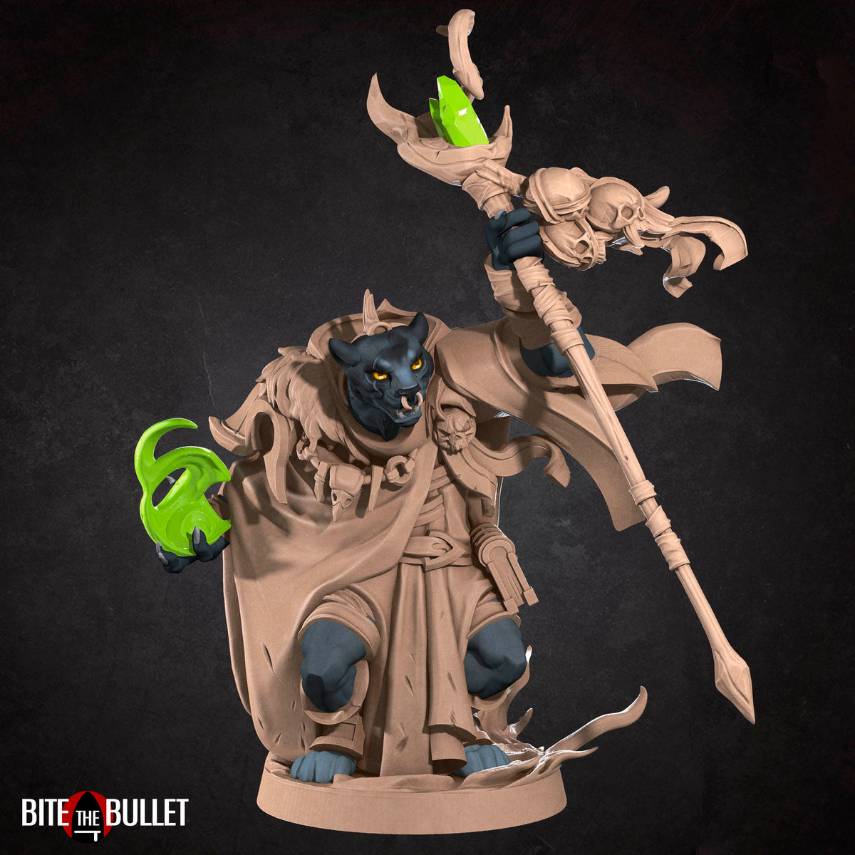 Warlock | Tabaxi | Fantasy Miniature | Bite the Bullet